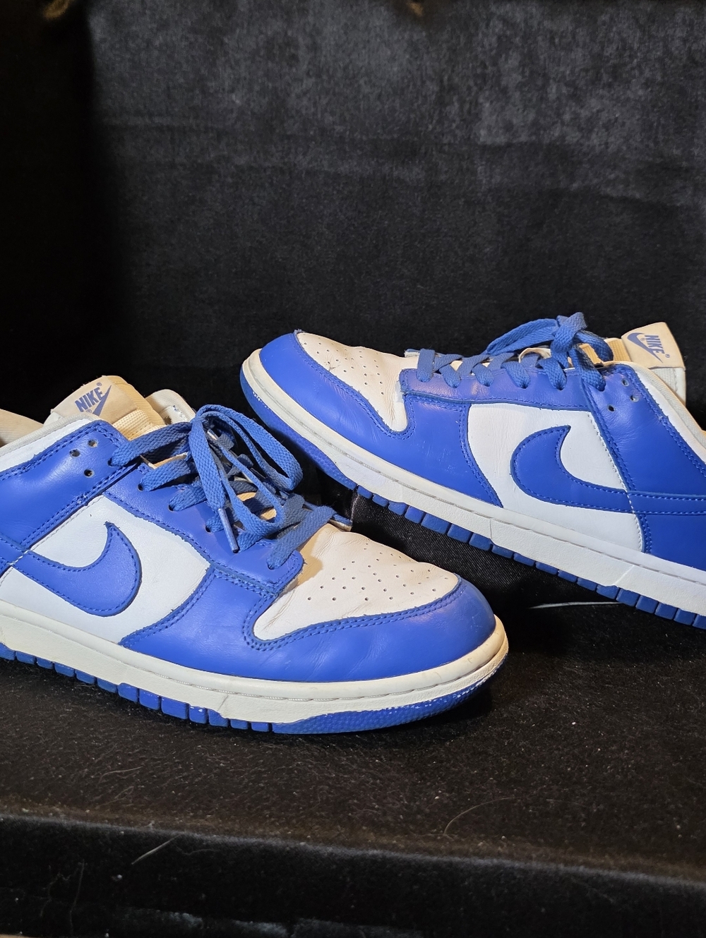 Nike Dunk Mens Size 12